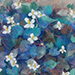 Miki Terao Gallery